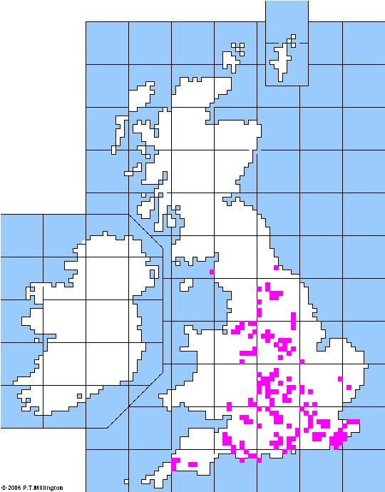 Map of British and Irish distribution folk plays performed during Christmas, New Year, and Plough Monday 2008/2009
