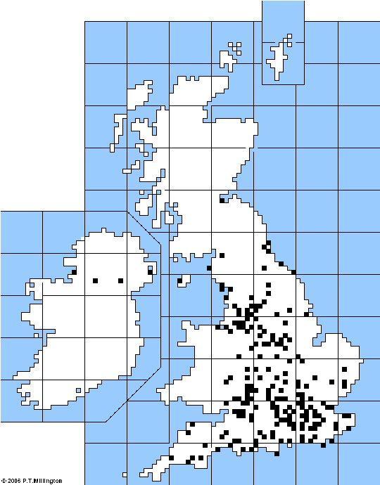 Folk Play Distribution Map: Modern Performing Groups
