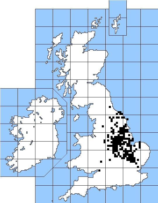 Plough Monday Customs in England