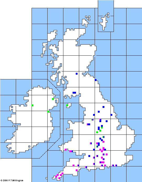Folk Play Distribution Map: The Distribution of Slasher and the Turk
