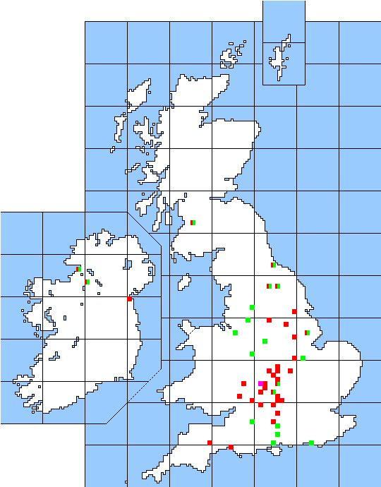 Folk Play Distribution Map: Wits so small